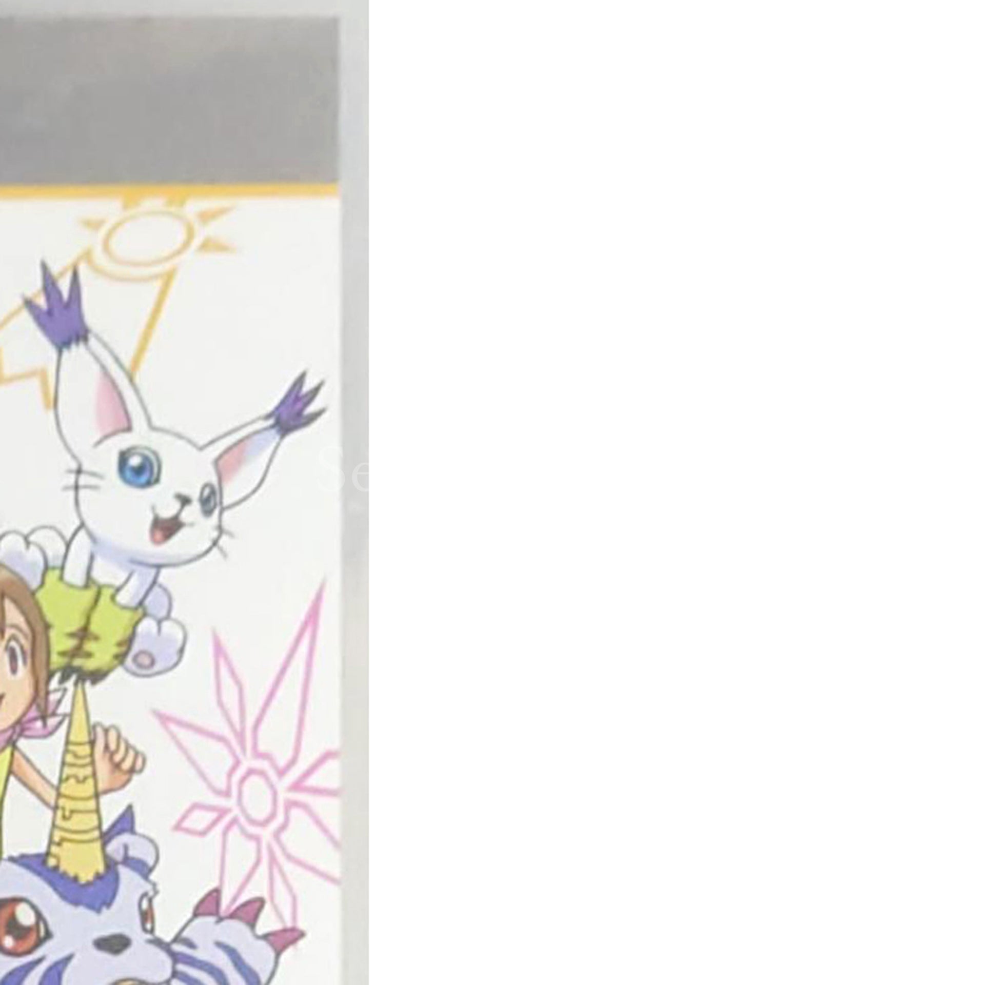 Digimon Adventure PlayStation Portable [USED]