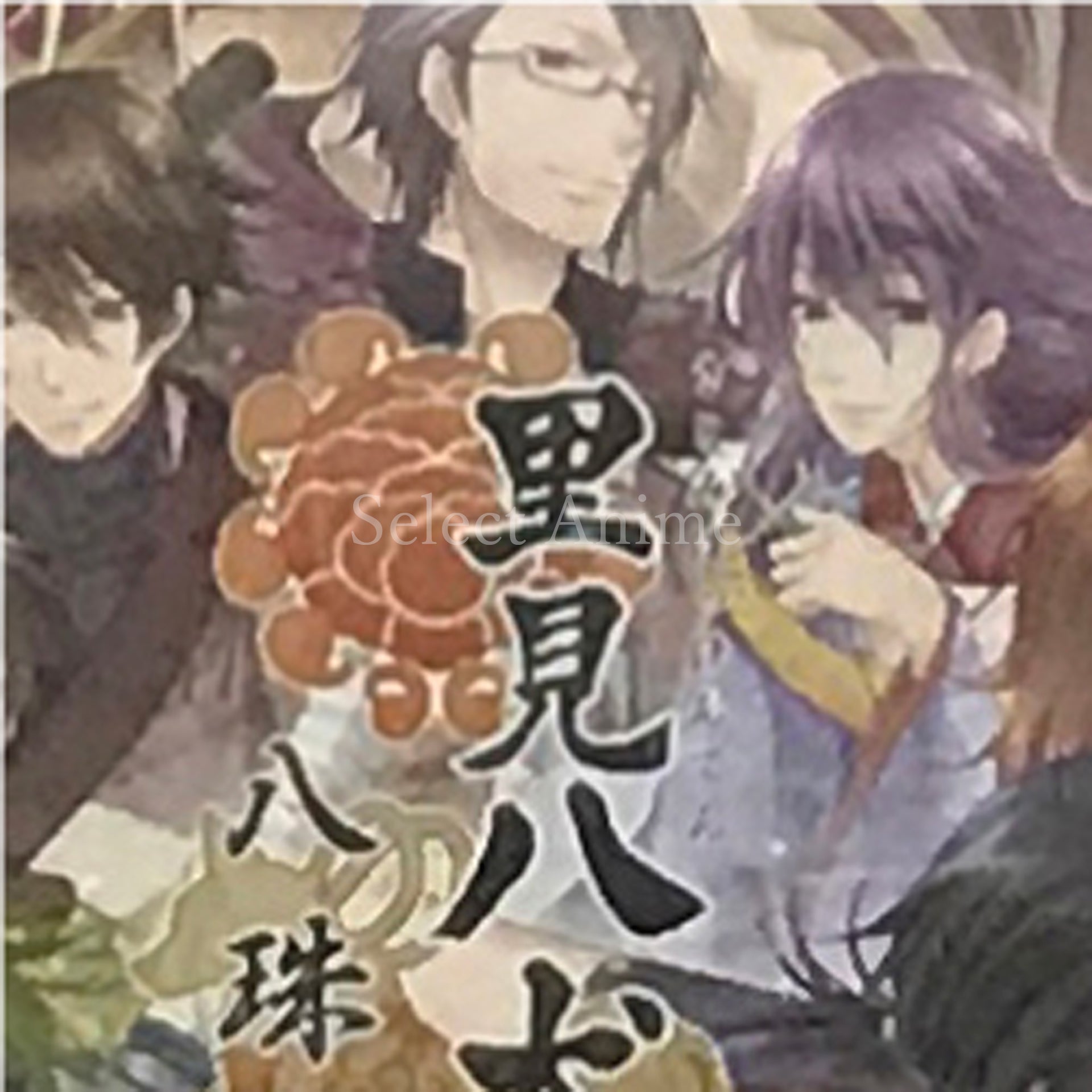 Satomi Hakkenden: Hachitama No Ki PlayStation Portable [USED]