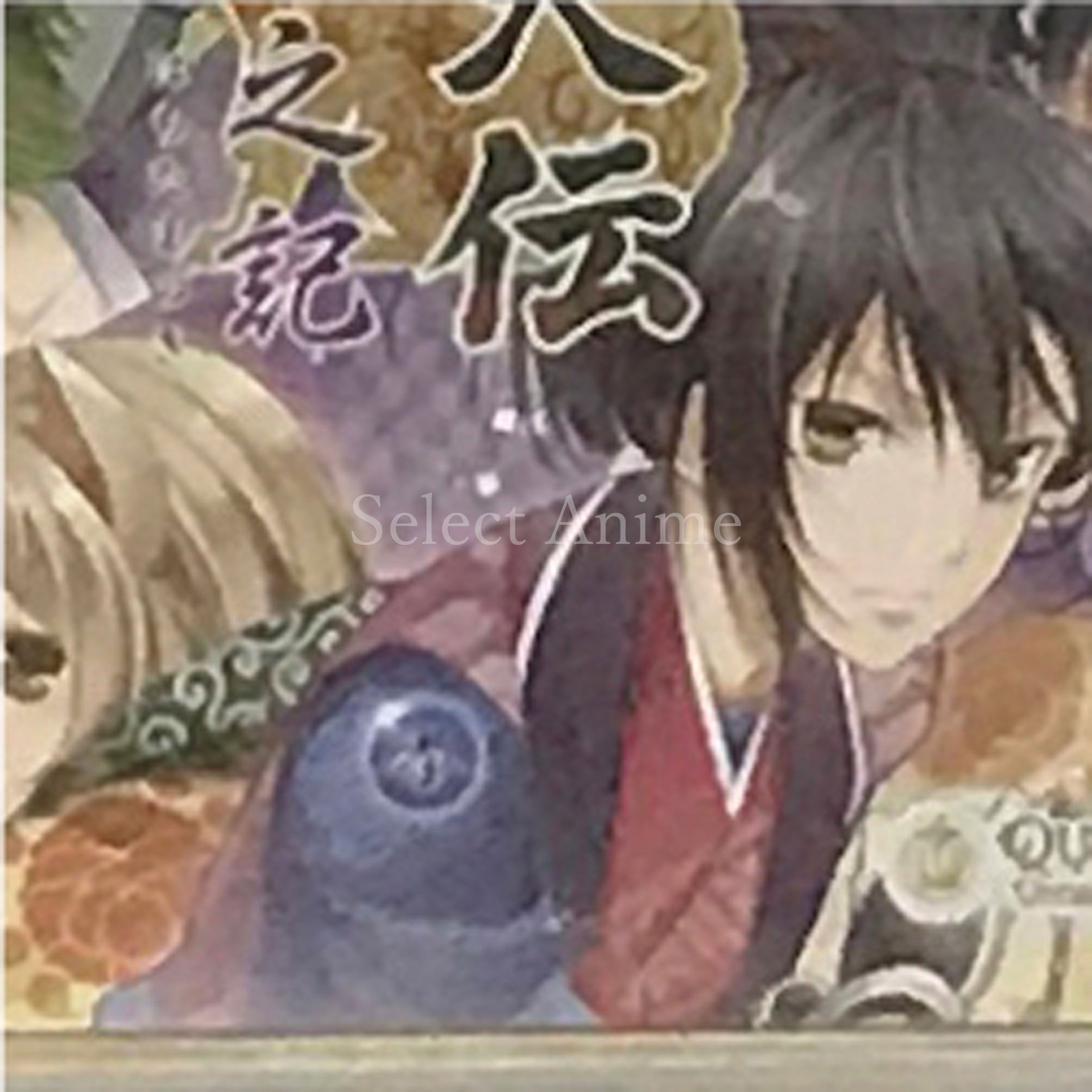 Satomi Hakkenden: Hachitama No Ki PlayStation Portable [USED]