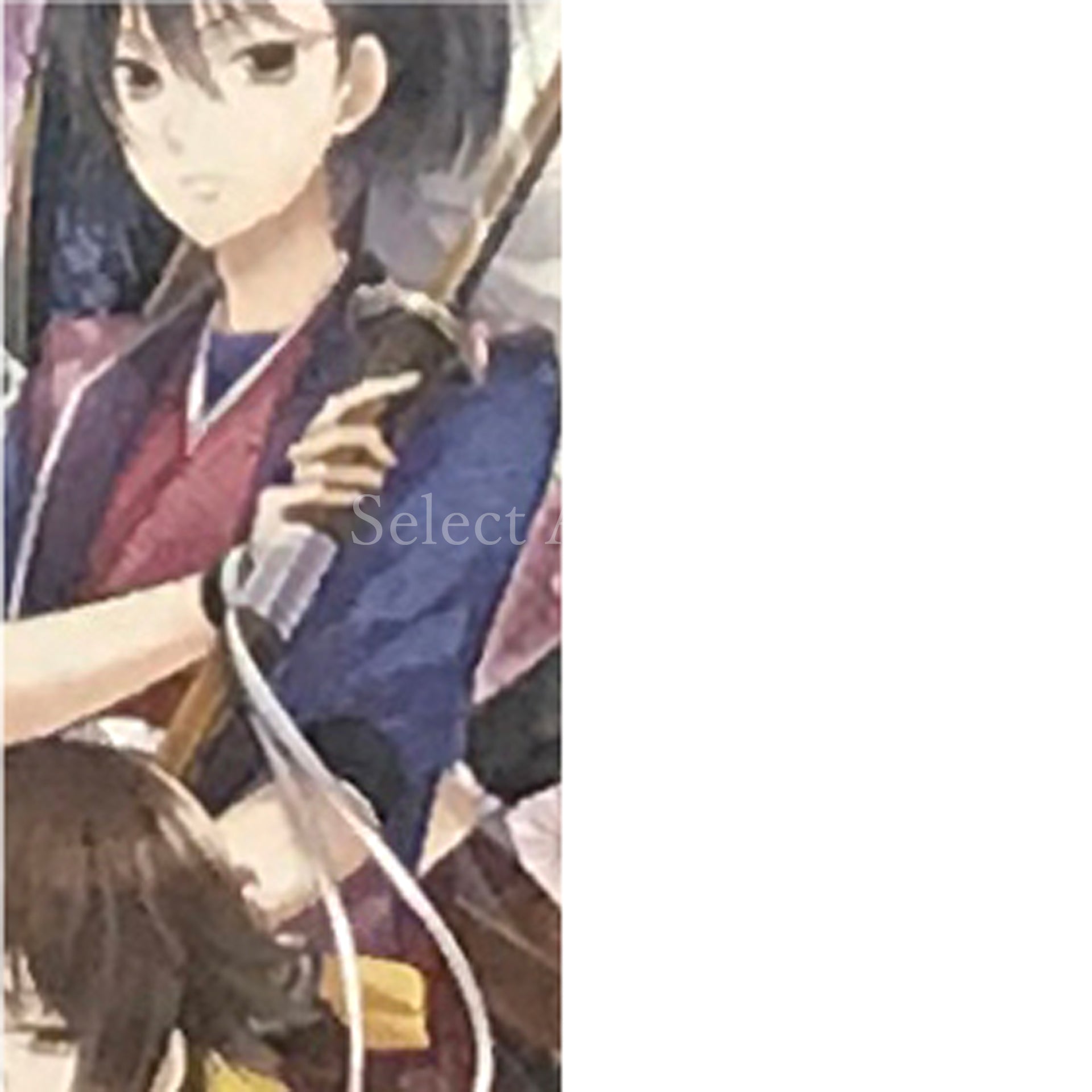 Satomi Hakkenden: Hachitama No Ki Limited Edition PlayStation Portable [USED]