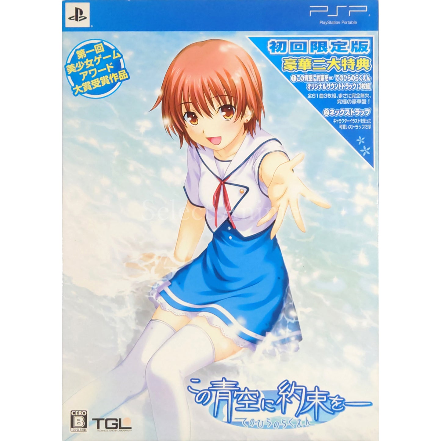 Kono Aozora ni Yakusoku o: Tenohira no Rakuen DX Pack PlayStation Portable [USED]
