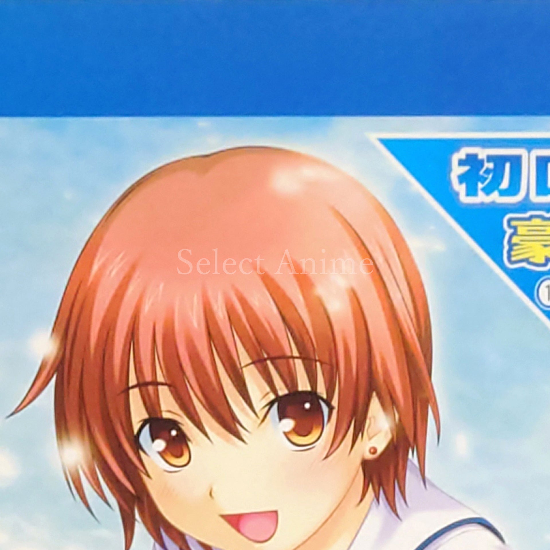 Kono Aozora ni Yakusoku o: Tenohira no Rakuen DX Pack PlayStation Portable [USED]
