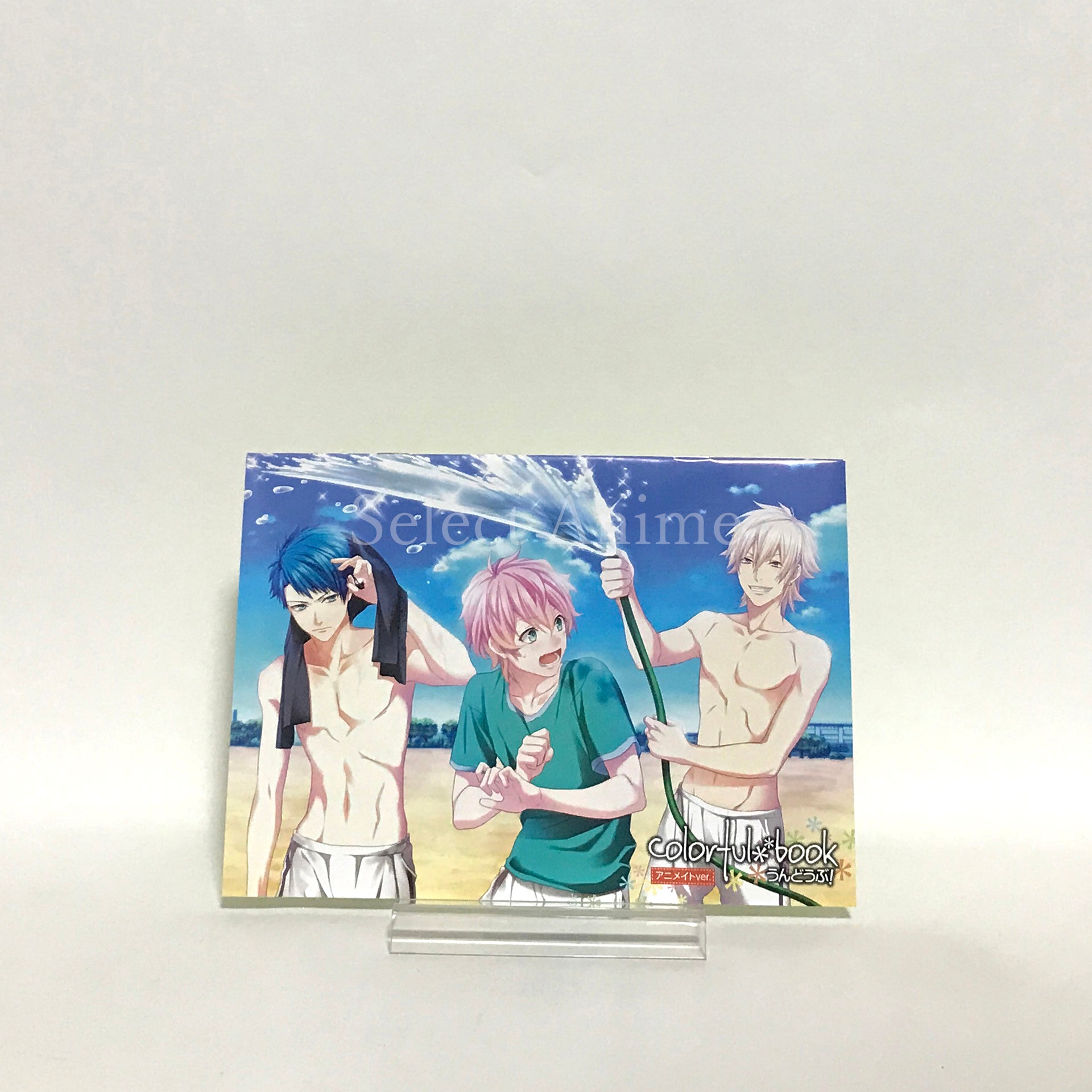 Houkago Colorful Step: Undoubu! animate Limited Edition PlayStation Portable [USED]