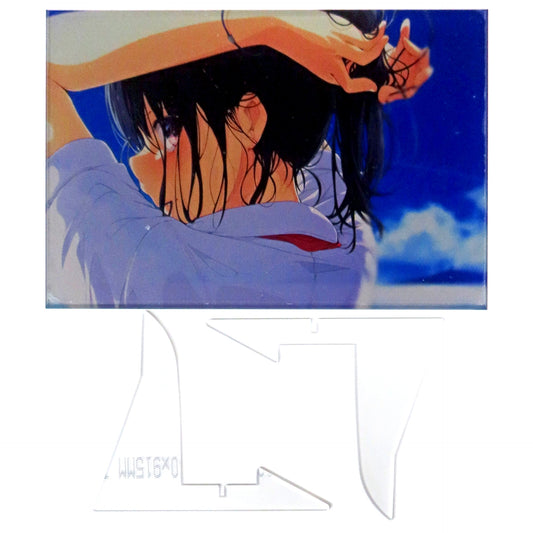 Ogipote look back Eshi 100 Exhibition 09 Illustration Art Book with Appendix Acrylic Art Plate [USED]