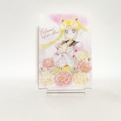Eternal Sailor Moon, etc. Sailor Moon Jumbo Carddass Art File Collection 3 All 8 Types Set File Folder [USED]
