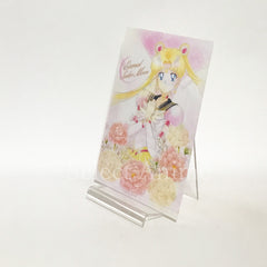 Eternal Sailor Moon, etc. Sailor Moon Jumbo Carddass Art File Collection 3 All 8 Types Set File Folder [USED]