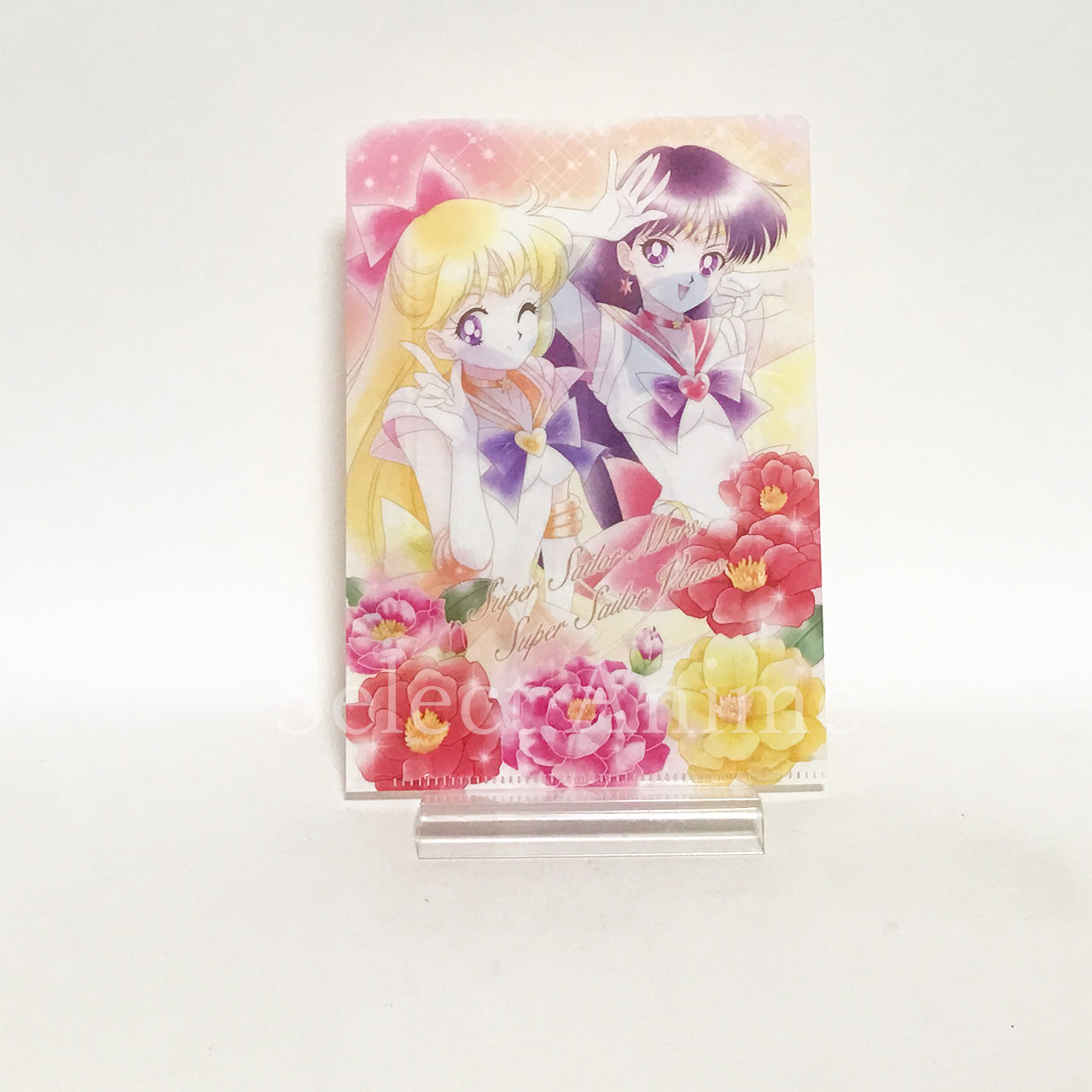 Eternal Sailor Moon, etc. Sailor Moon Jumbo Carddass Art File Collection 3 All 8 Types Set File Folder [USED]