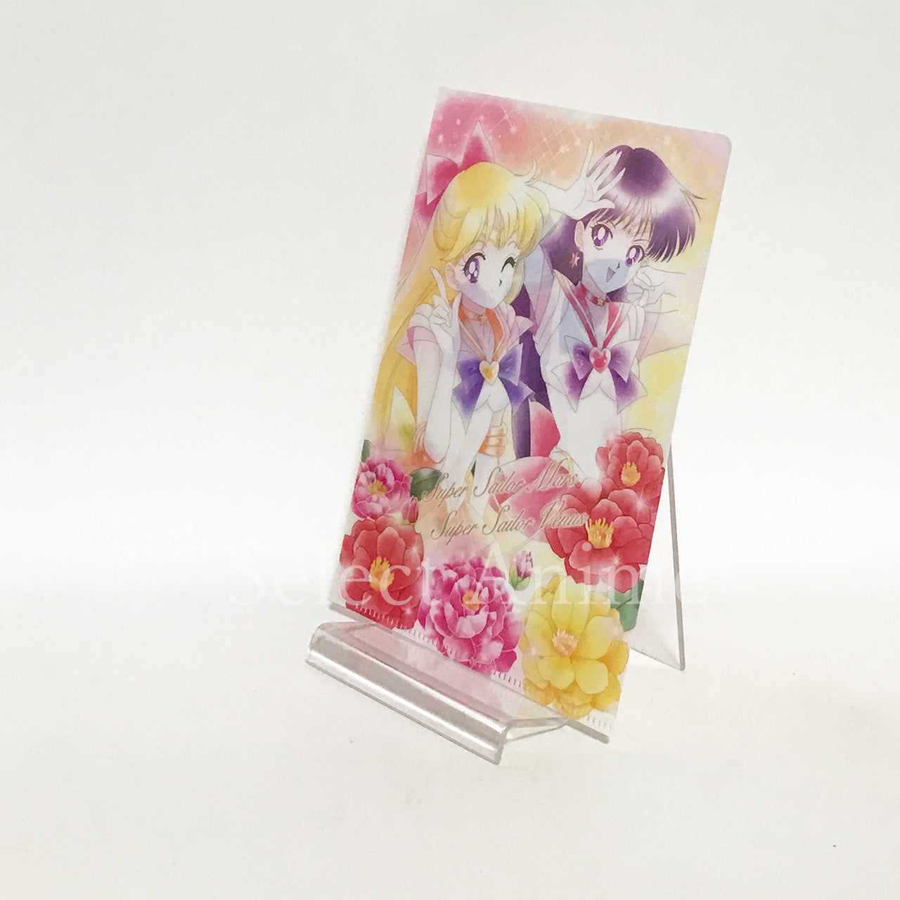 Eternal Sailor Moon, etc. Sailor Moon Jumbo Carddass Art File Collection 3 All 8 Types Set File Folder [USED]
