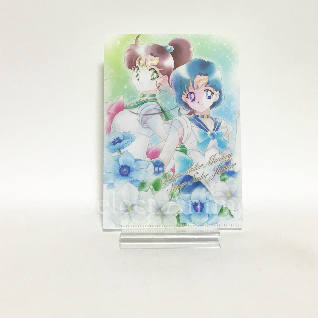 Eternal Sailor Moon, etc. Sailor Moon Jumbo Carddass Art File Collection 3 All 8 Types Set File Folder [USED]