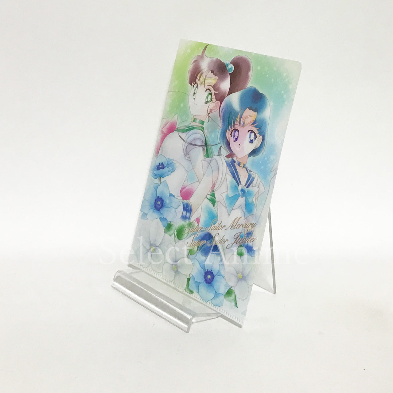 Eternal Sailor Moon, etc. Sailor Moon Jumbo Carddass Art File Collection 3 All 8 Types Set File Folder [USED]