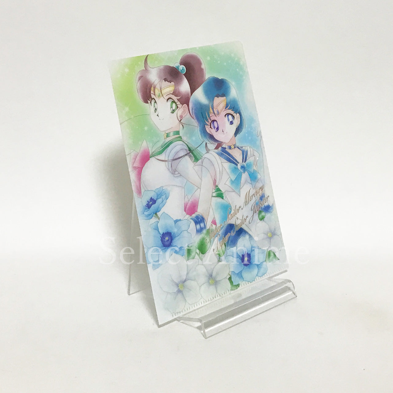 Eternal Sailor Moon, etc. Sailor Moon Jumbo Carddass Art File Collection 3 All 8 Types Set File Folder [USED]