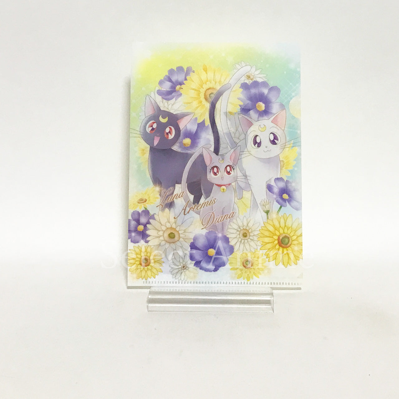 Eternal Sailor Moon, etc. Sailor Moon Jumbo Carddass Art File Collection 3 All 8 Types Set File Folder [USED]