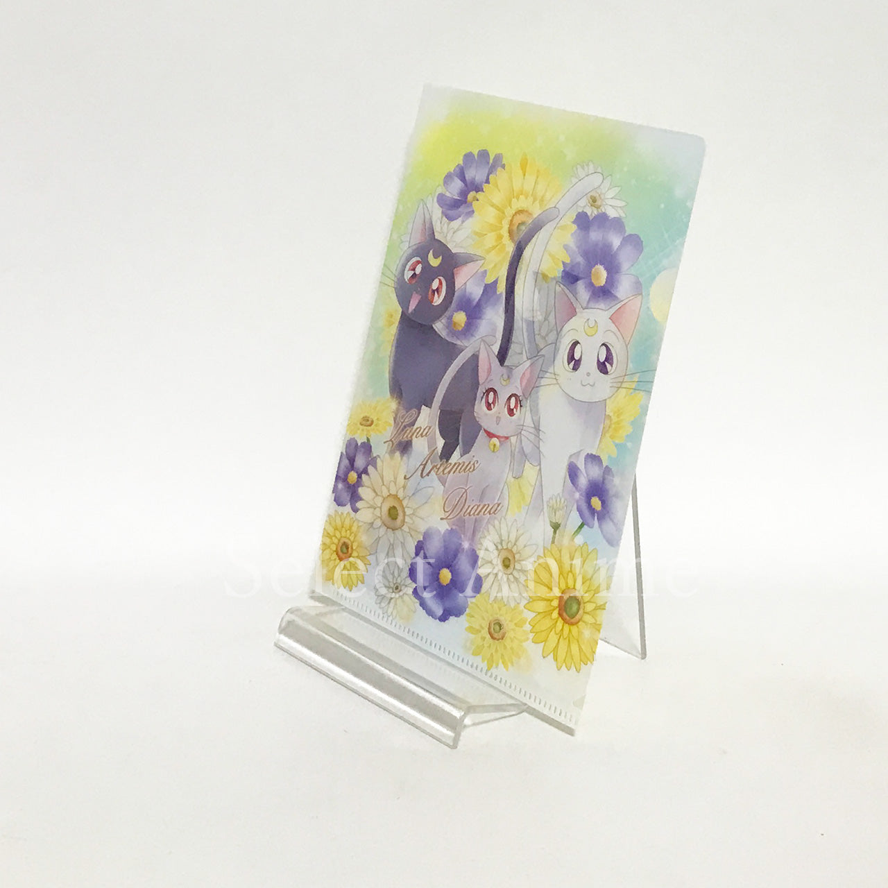 Eternal Sailor Moon, etc. Sailor Moon Jumbo Carddass Art File Collection 3 All 8 Types Set File Folder [USED]