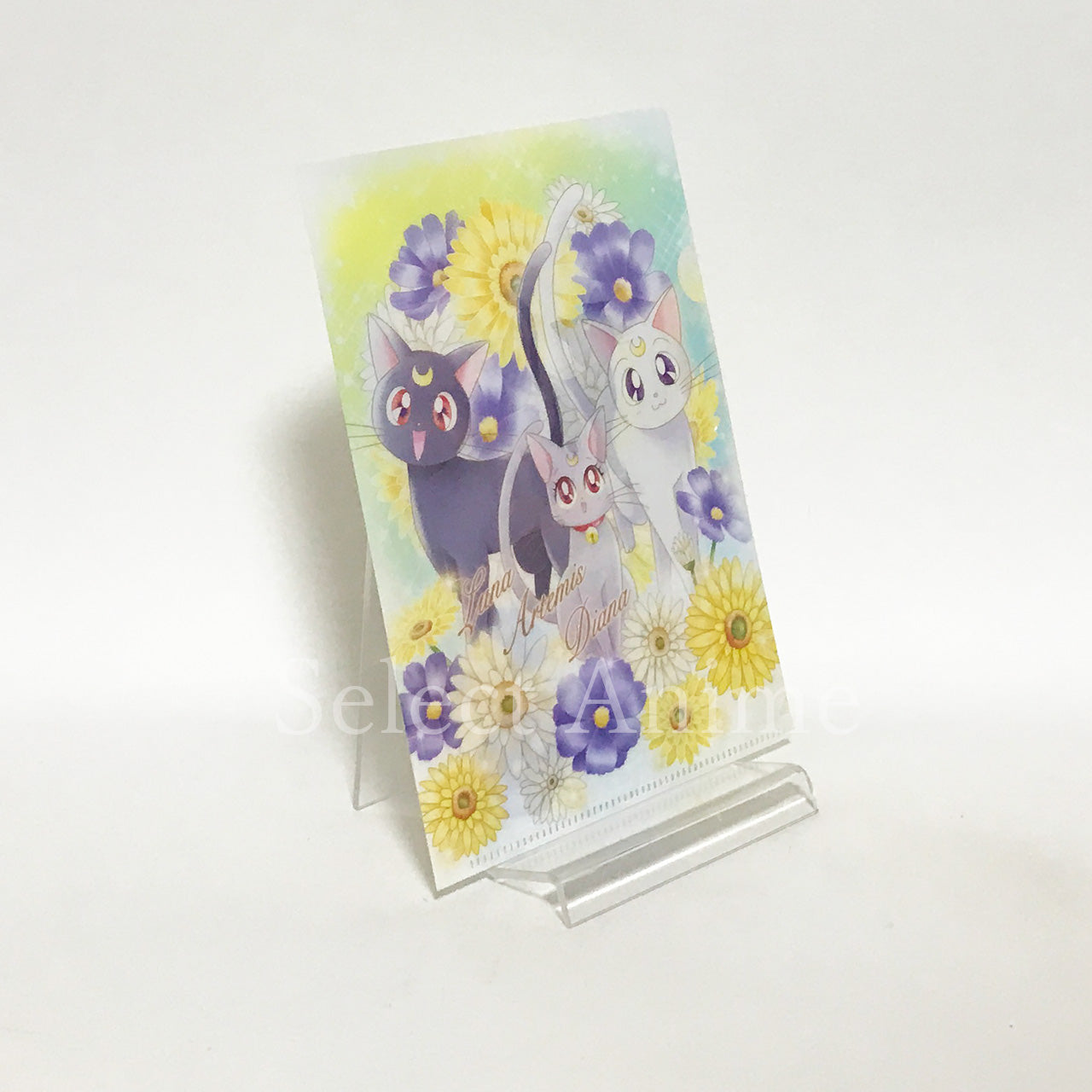 Eternal Sailor Moon, etc. Sailor Moon Jumbo Carddass Art File Collection 3 All 8 Types Set File Folder [USED]