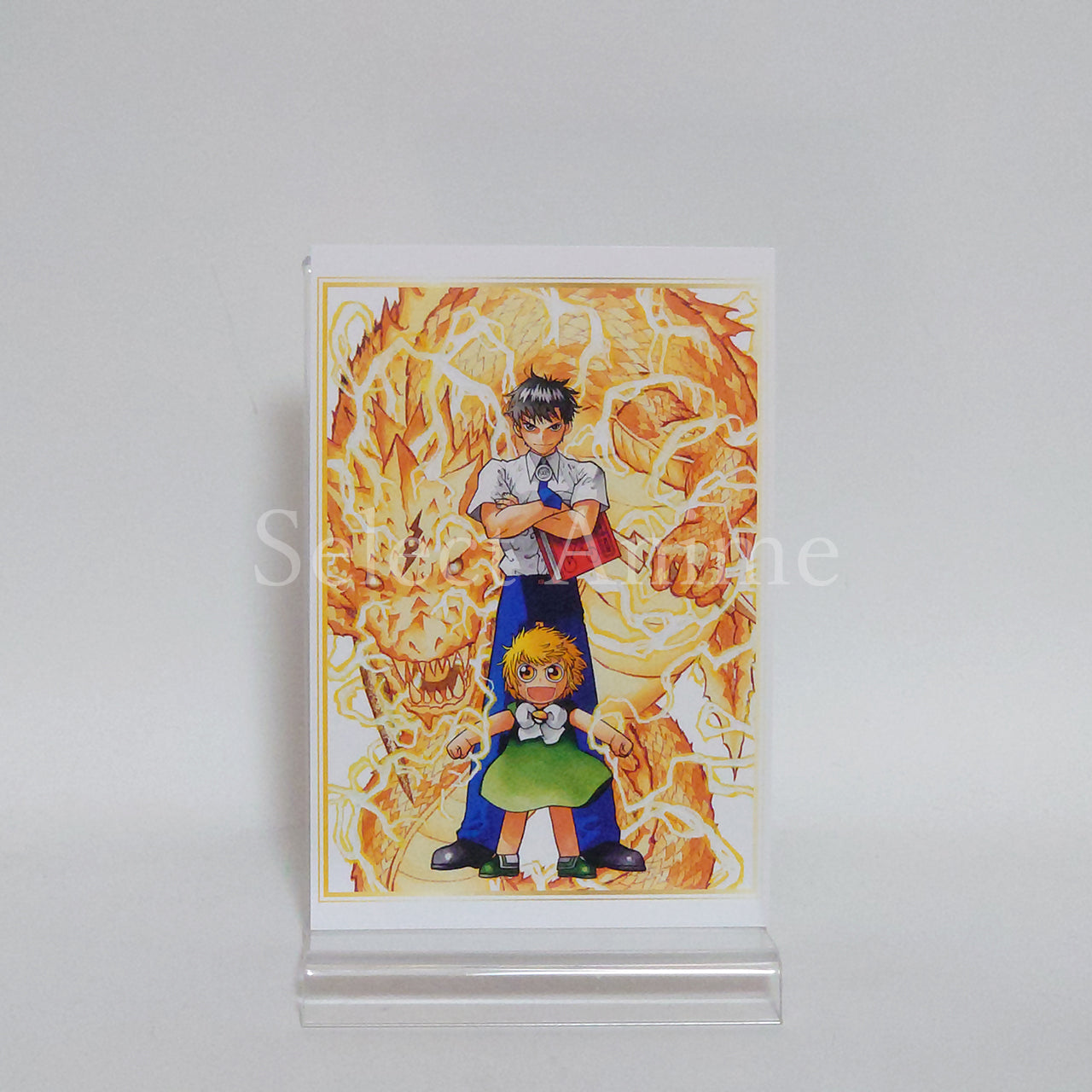 Gash Bell, etc. Zatch Bell! Framed Postcard Set Zatch Bell! & Makoto Raiku Original Art Exhibition Limited Postcards [USED]