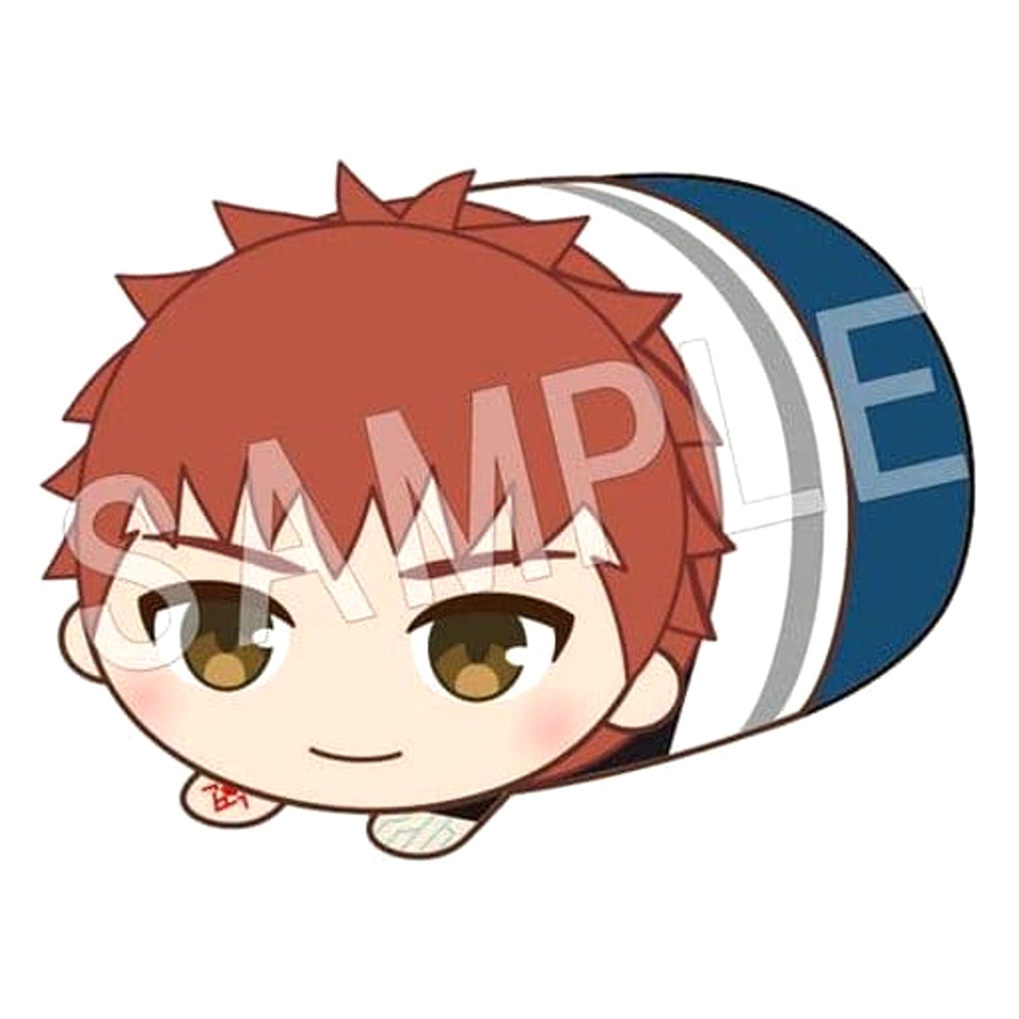 Fate/stay night: Heaven's Feel Shiro Emiya Mochikororin Plush Mascot Plush [USED]