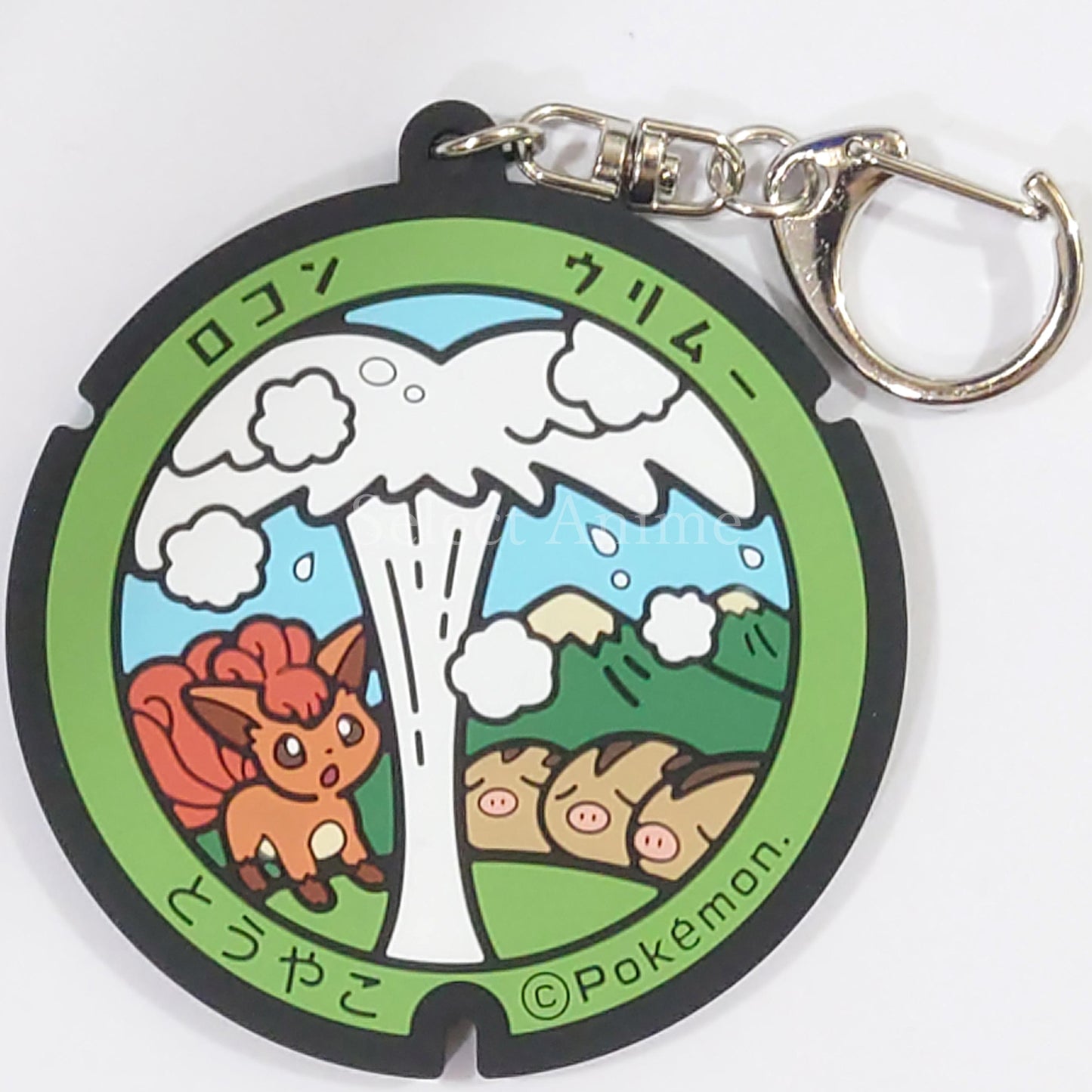Vulpix Swinub Pokemon Pokefuta Pokemon Manhole Rubber Keychain Hokkaido Village Vanguard Limited Key Chain [USED]