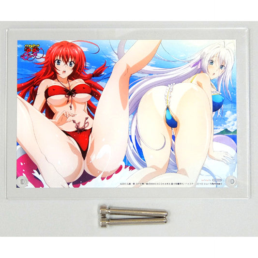 Rias Gremory & Rossweisse Acrylic Character Plate High School DxD BorN Rias Gremory Bunny Ver. 1/6 PVC Pre-painted Complete Figure AmiAmi Limited Bonus [USED]