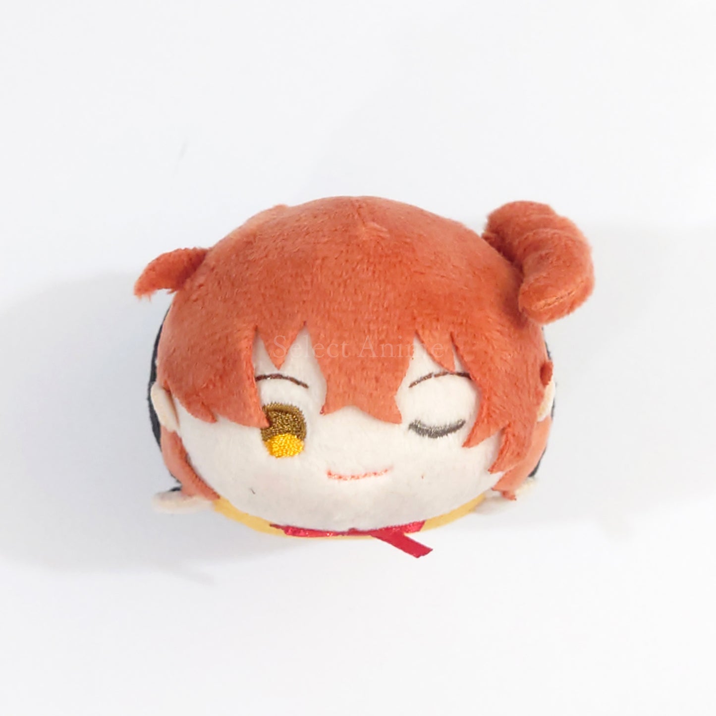 Fate/Grand Order Female Protagonist Magic Association Uniform Ver. Mochimochi Mascot Vol.5 animate Limited Box Purchase Privilege Keychains [USED]