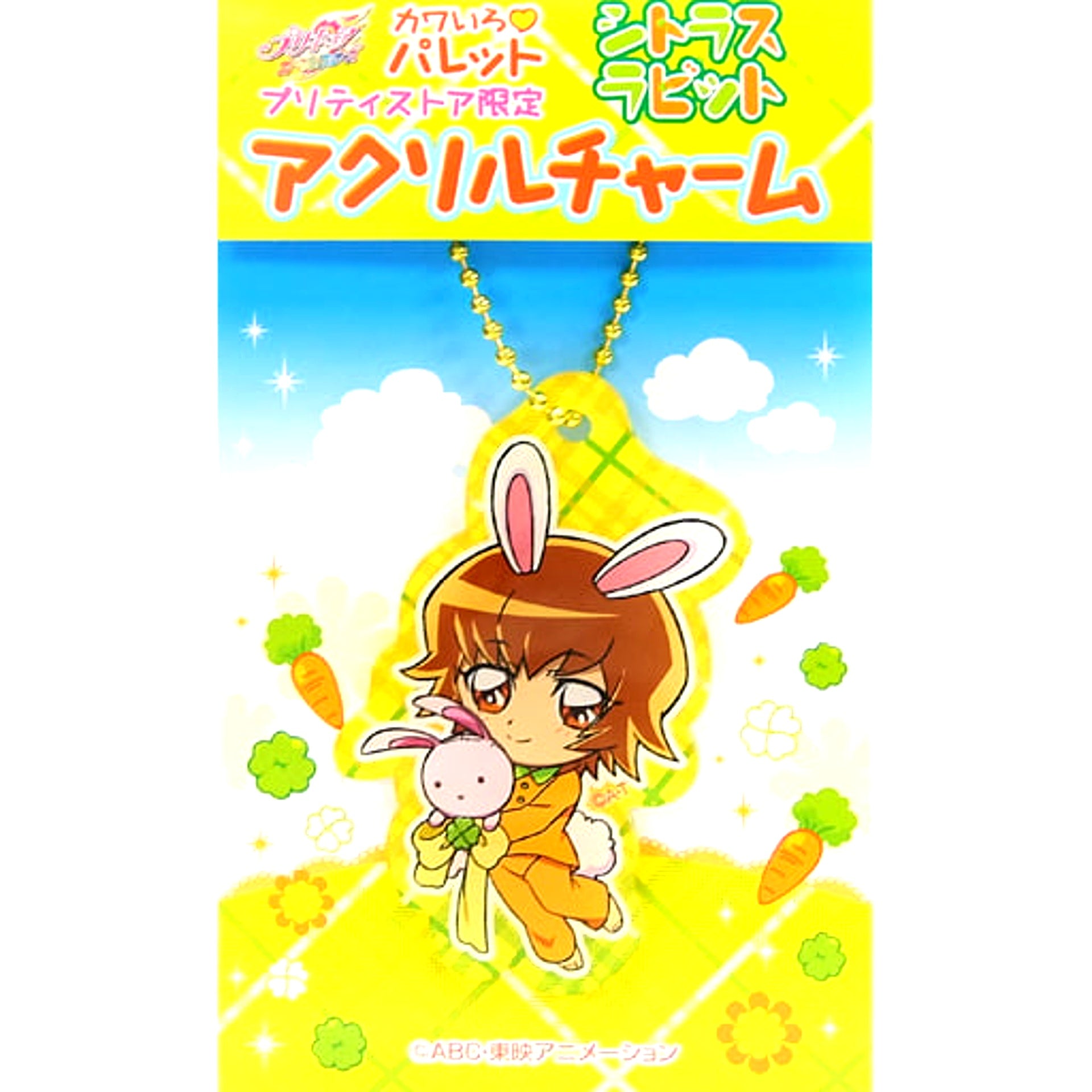 Itsuki Myoudouin Cure Sunshine PreCure All Stars Kawairo Palette Charm Pretty Store [USED]