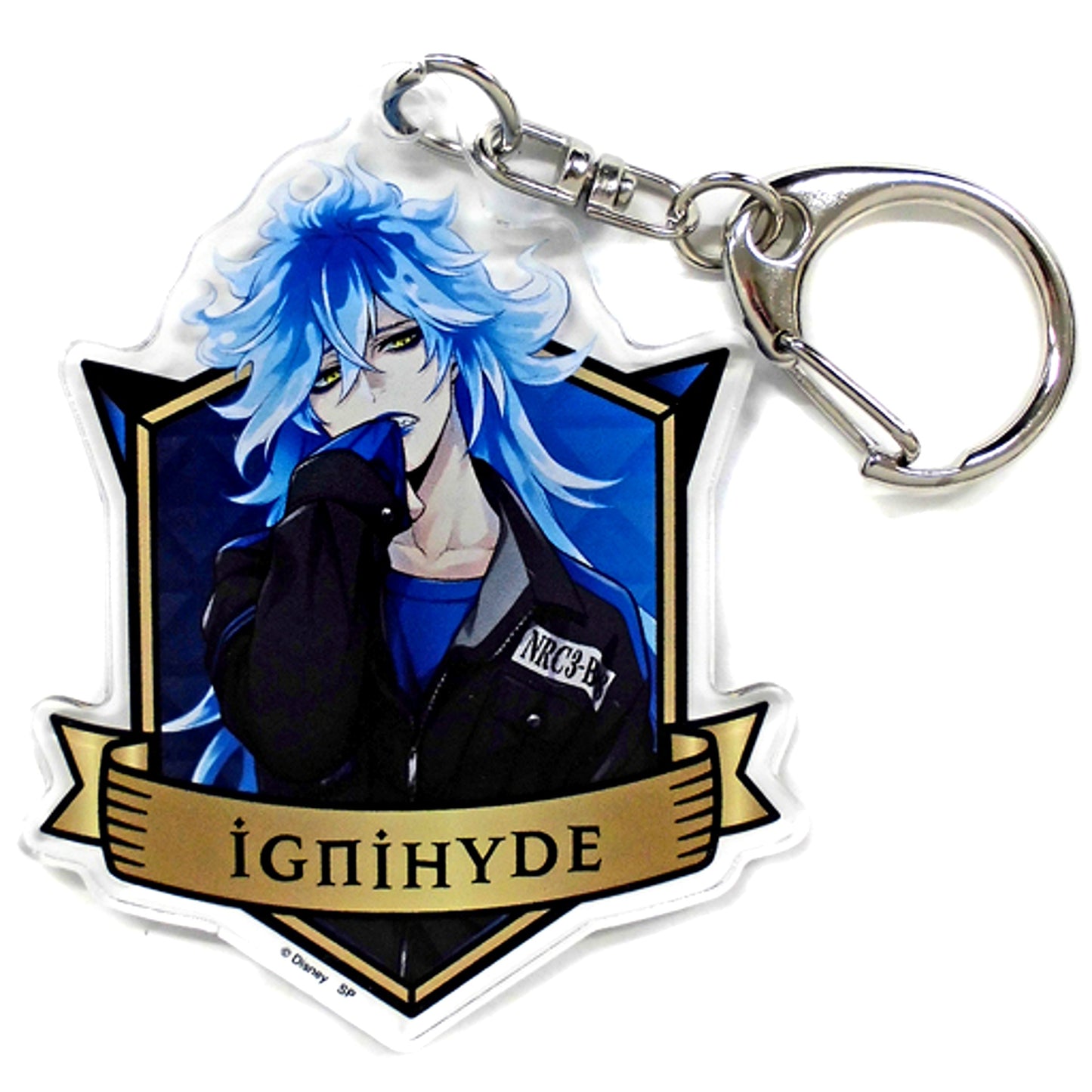 Idia Shroud Disney Twisted-Wonderland Acrylic Keychain Collection 2 [USED]