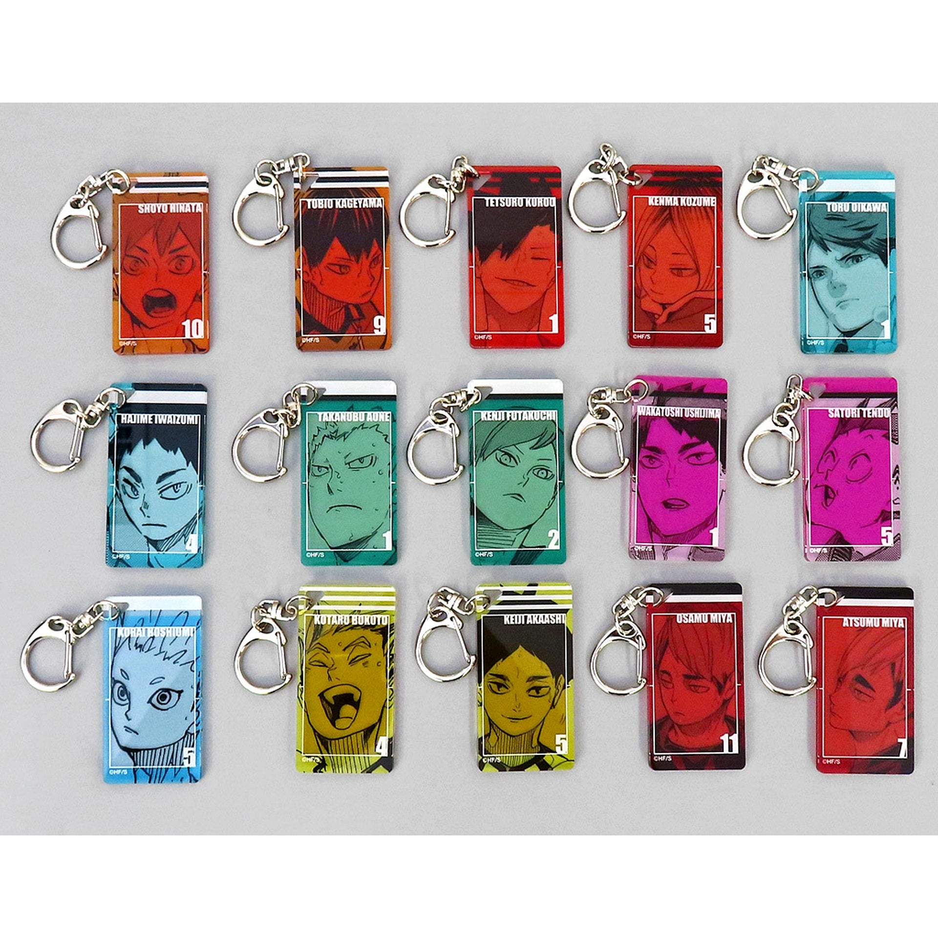 Set of 15 Haikyu!! Exhibition Acrylic Tag Collection [USED]