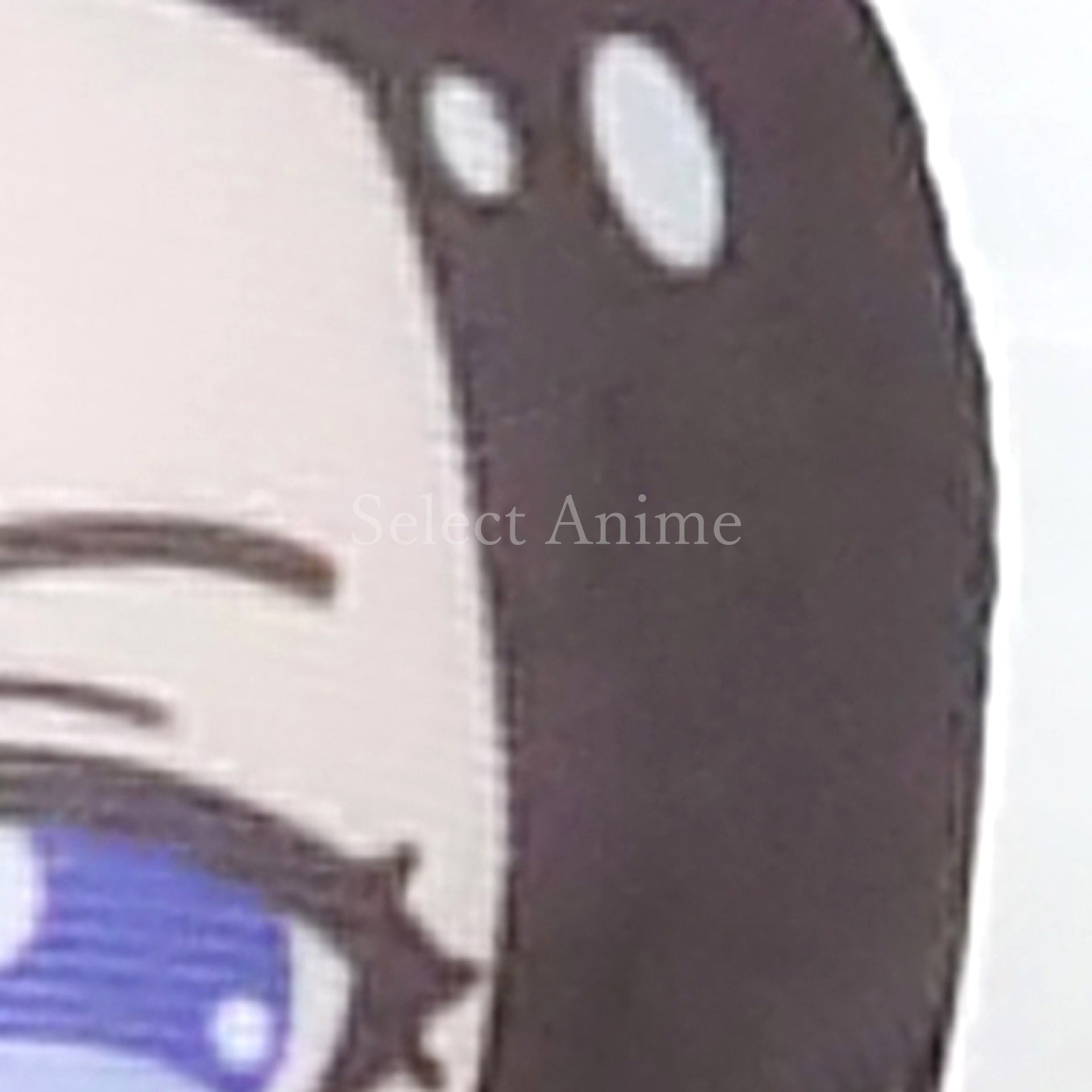 Bang Dream! Girls Band Party! Layer Omanjuu Niginigi Mascot Ver.Raise A Suilen Keychains [USED]