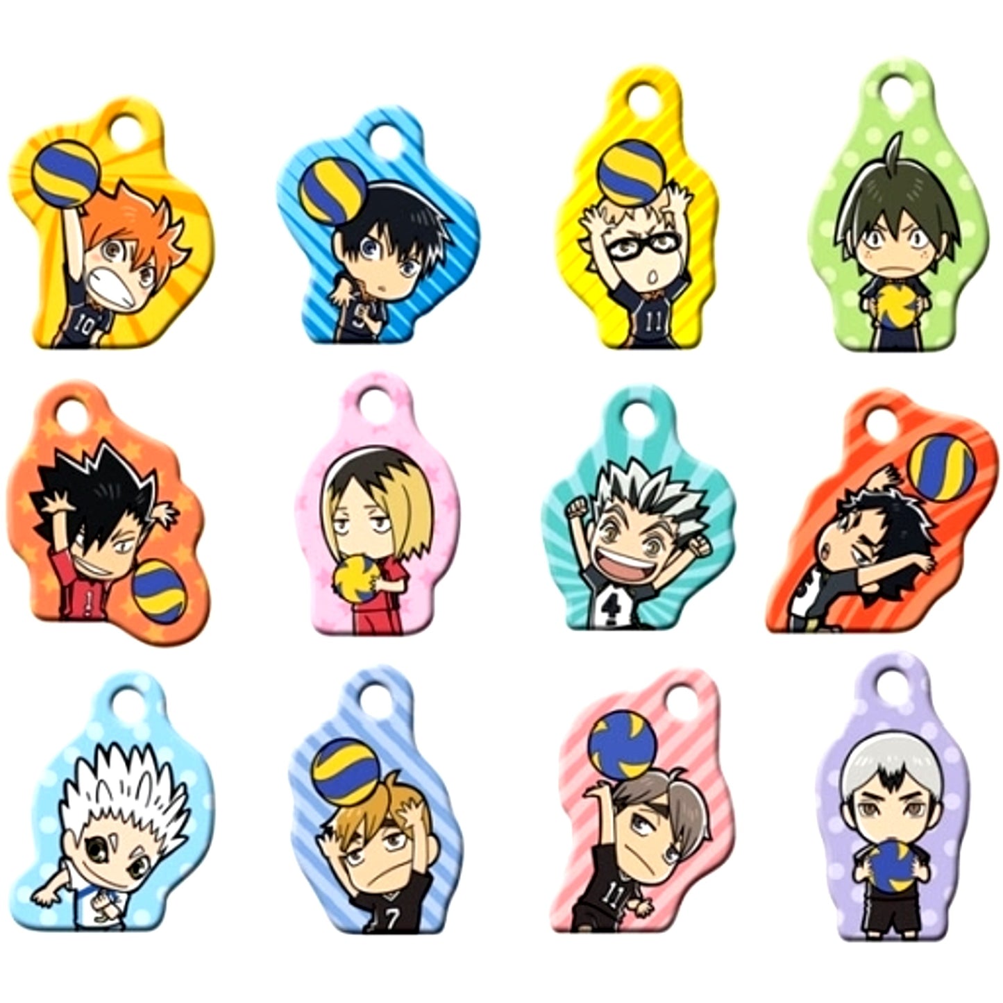 Set of 12 Haikyu!! TO THE TOP Metal Collection [USED]