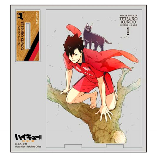 Tetsuro Kuroo Acrylic Stand Haikyu!! To The Top [USED]