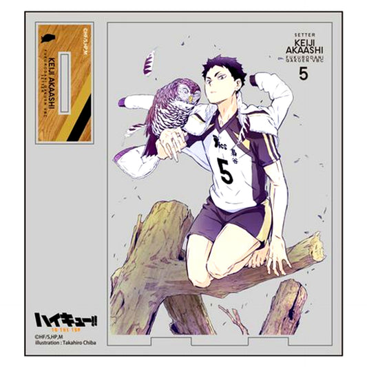 Keiji Akaashi Haikyu!! TO THE TOP Acrylic Stand [USED]