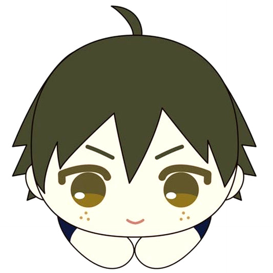 Tadashi Yamaguchi Haikyu!! Hug Chara Collection 2 [USED]