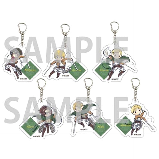 Attack on Titan Mikasa Ackerman & Others Graph Art Design Levi Squad Ver. Acrylic Keychain 14 All 6 Types Set Keychains [USED]