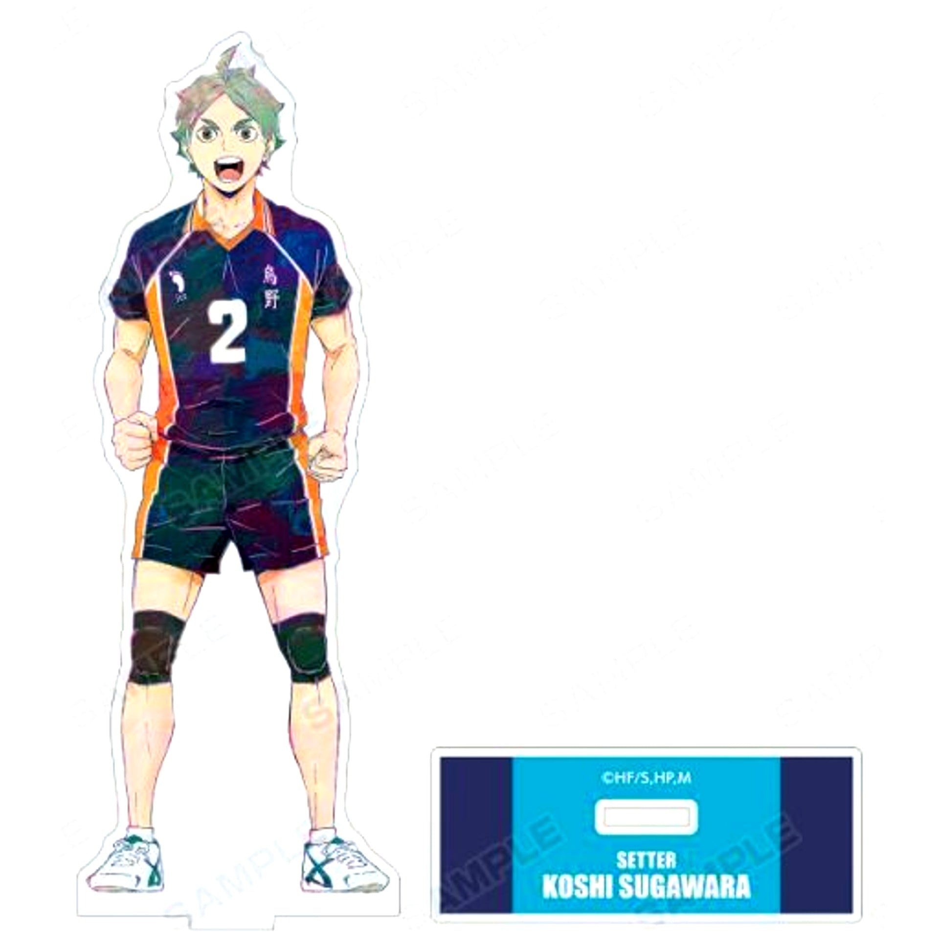 Koshi Sugawara Ani-Art 4th BIG Acrylic Stand Haikyu!! To The Top [USED]