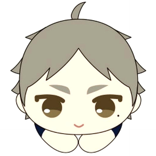 Koshi Sugawara Haikyu!! Hug Chara Collection 3 [USED]