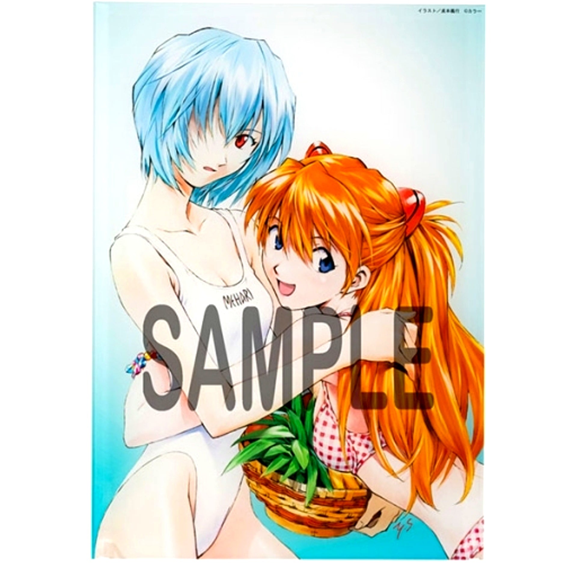 Rei & Asuka B Swimsuit Yoshiyuki Sadamoto Acrylic Art Board Neon Genesis Evangelion [USED]