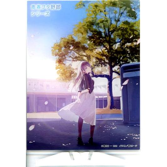 Mai Sakurajima University Student Arc Ver. Acrylic Plate Rascal Does Not Dream Series [USED]