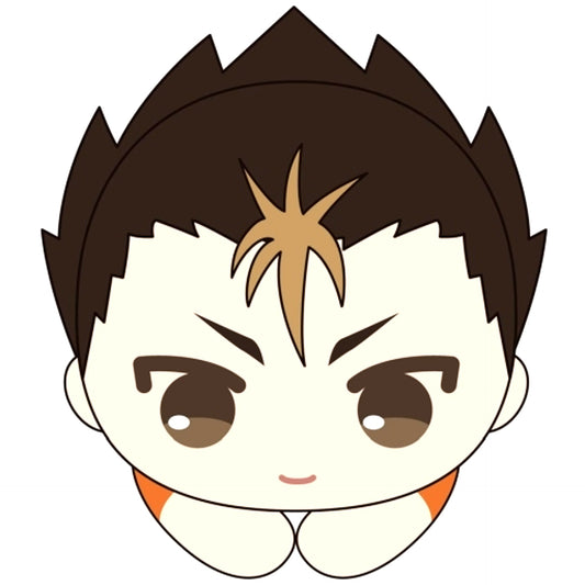 Yu Nishinoya Haikyu!! Hug Chara Collection 4 Plush [USED]