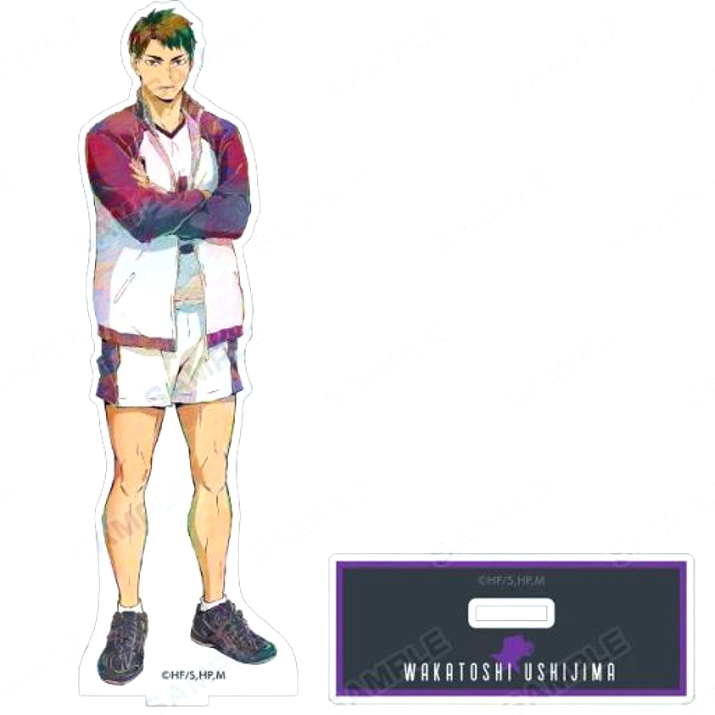 Wakatoshi Ushijima Haikyu!! To The Top Ani-Art Vol. 5 BIG Acrylic Stand [USED]