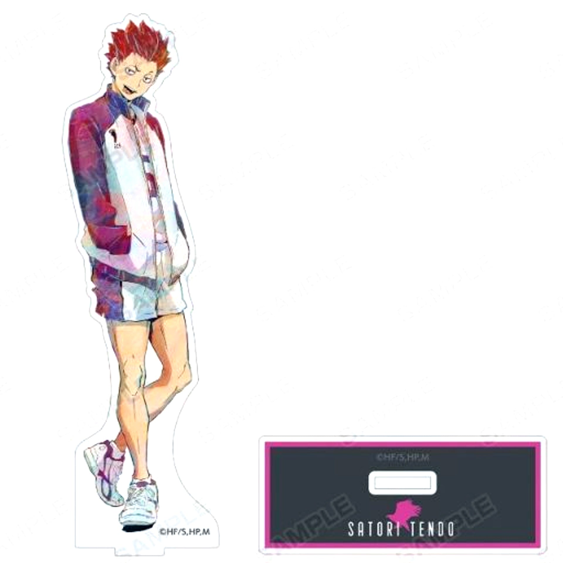 Satori Tendo Ani-Art 5th BIG Acrylic Stand Haikyu!! TO THE TOP [USED]