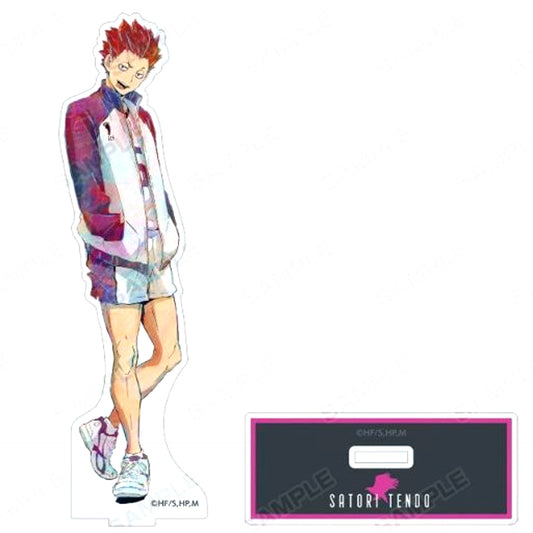 Satori Tendo Ani-Art 5th BIG Acrylic Stand Haikyu!! TO THE TOP [USED]