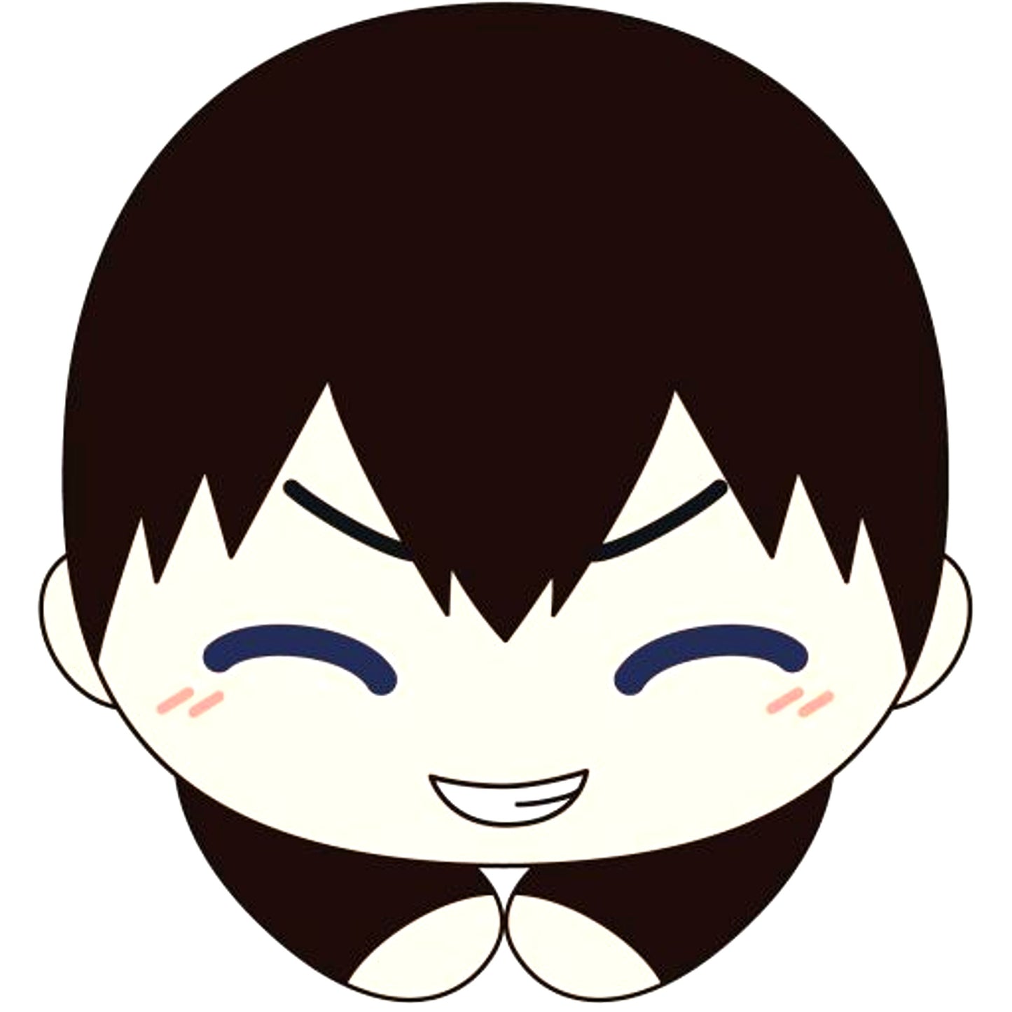 Tobio Kageyama Haikyu!! Hug Chara Collection Special [USED]