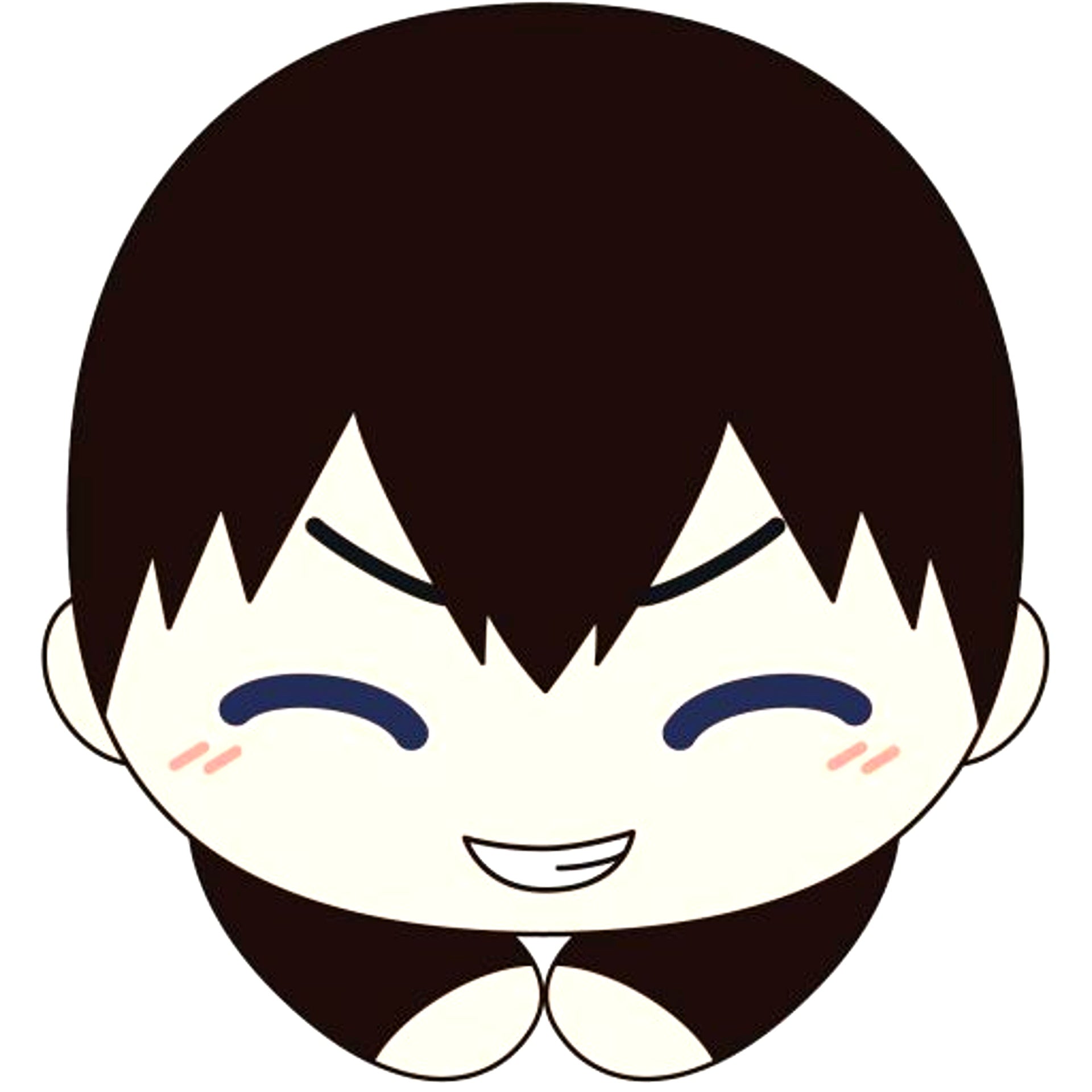 Tobio Kageyama Haikyu!! Hug Chara Collection Special [USED]