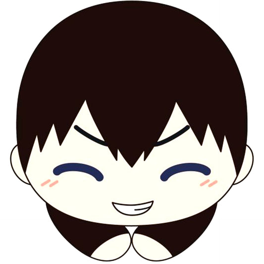Tobio Kageyama Haikyu!! Hug Chara Collection Special [USED]