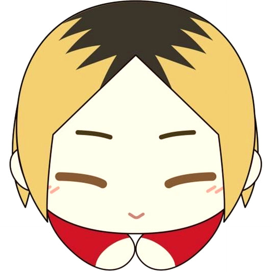 Kenma Kozume Haikyu!! Hug Chara Collection Special Plush [USED]