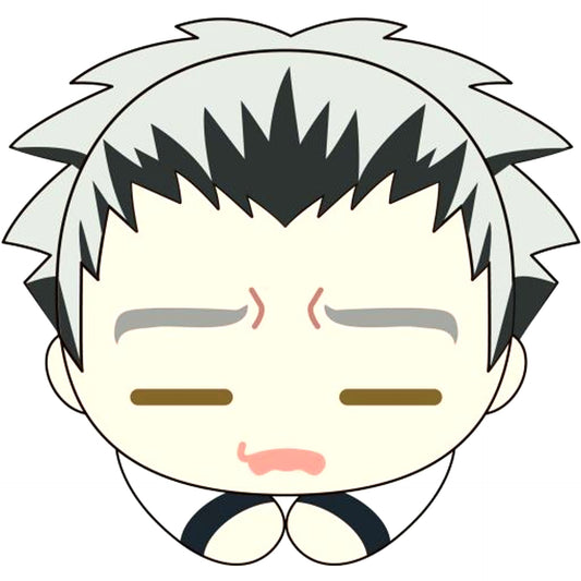 Kotaro Bokuto Haikyu!! Hug Chara Collection Special Plush [USED]