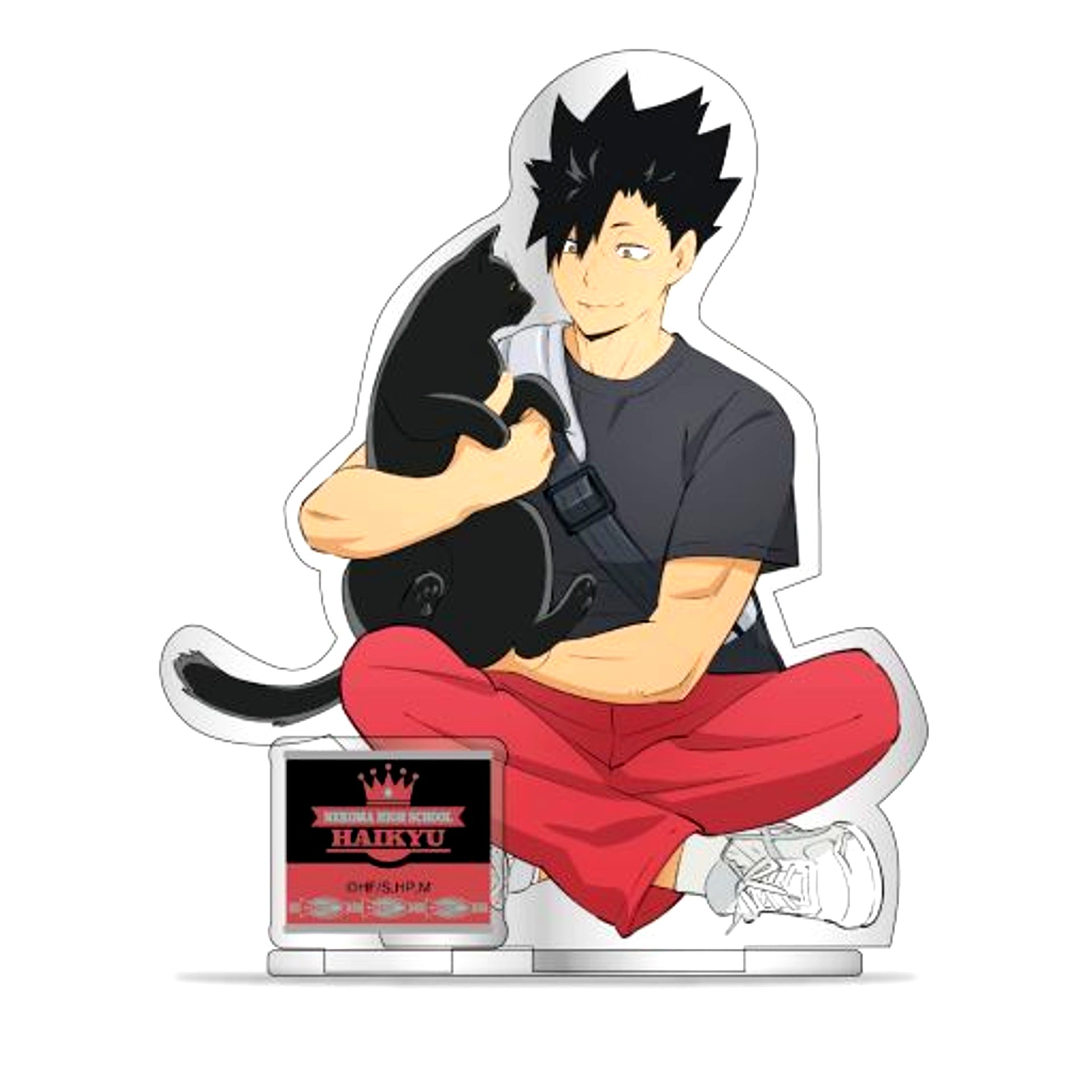 Tetsuro Kuroo Acrylic Stand Haikyu!! TO THE TOP [USED]
