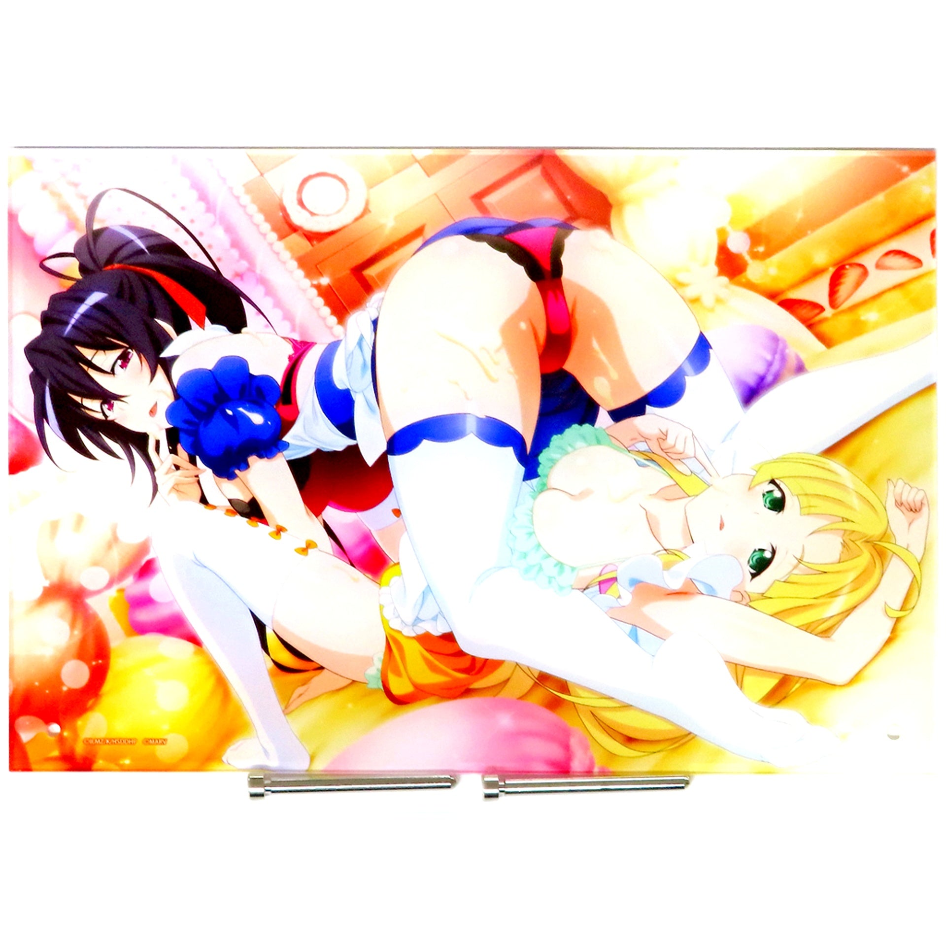 Akeno Himejima & Asia Argento A-3 Prize High School DxD Hero A4 Acrylic Art Gema Kuji [USED]