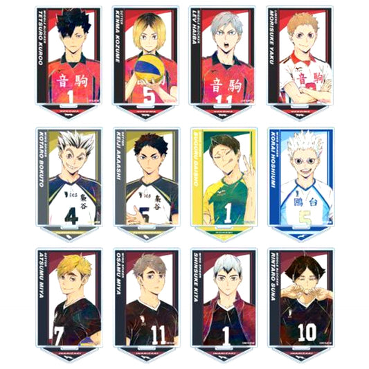 Set of 12 Haikyu!! TO THE TOP Trading Ani-Art Vol. 6 Acrylic Stand [USED]