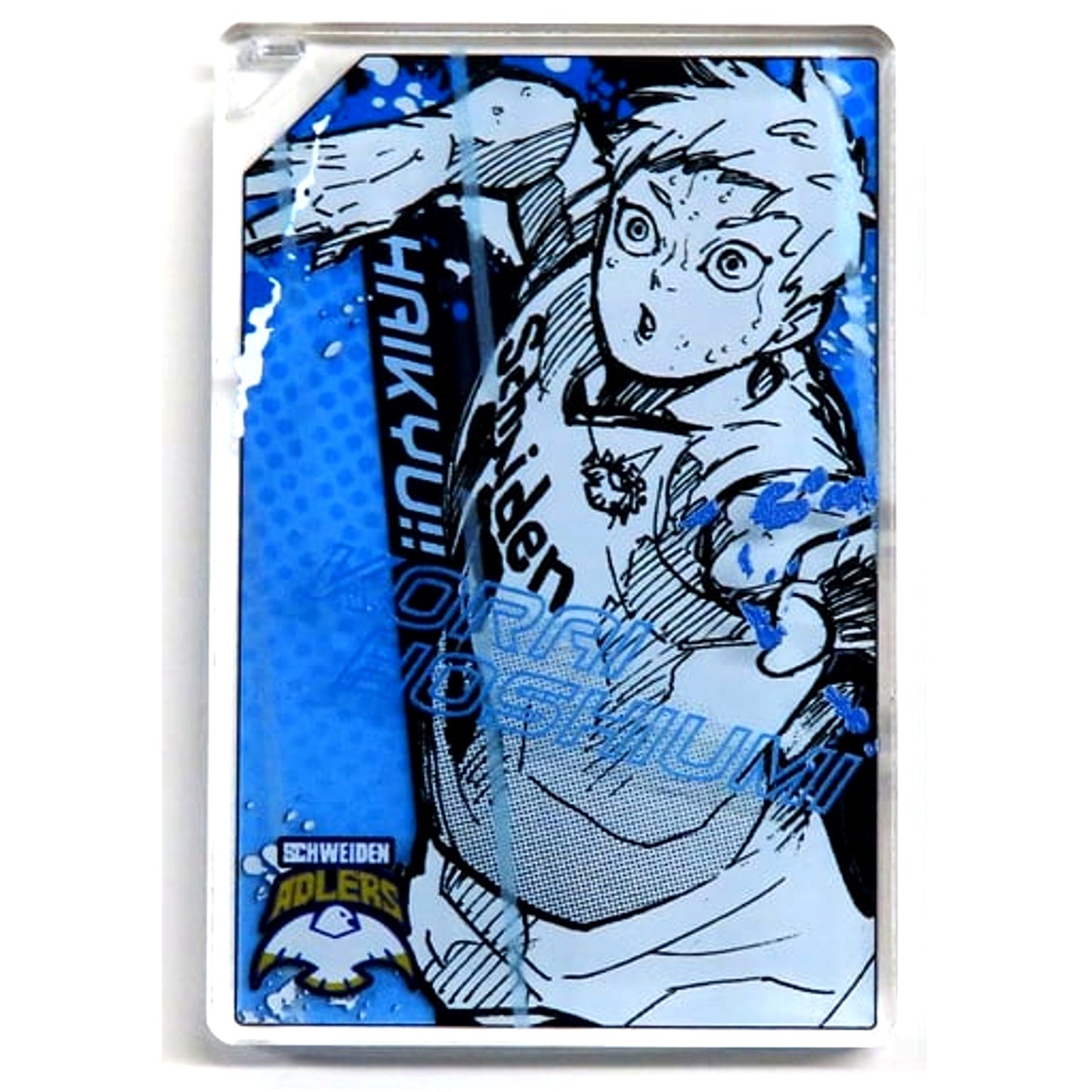 Korai Hoshiumi Haikyu!! Oikawa Zenin Taosu Domino Style Acrylic Keychain Collection [USED]