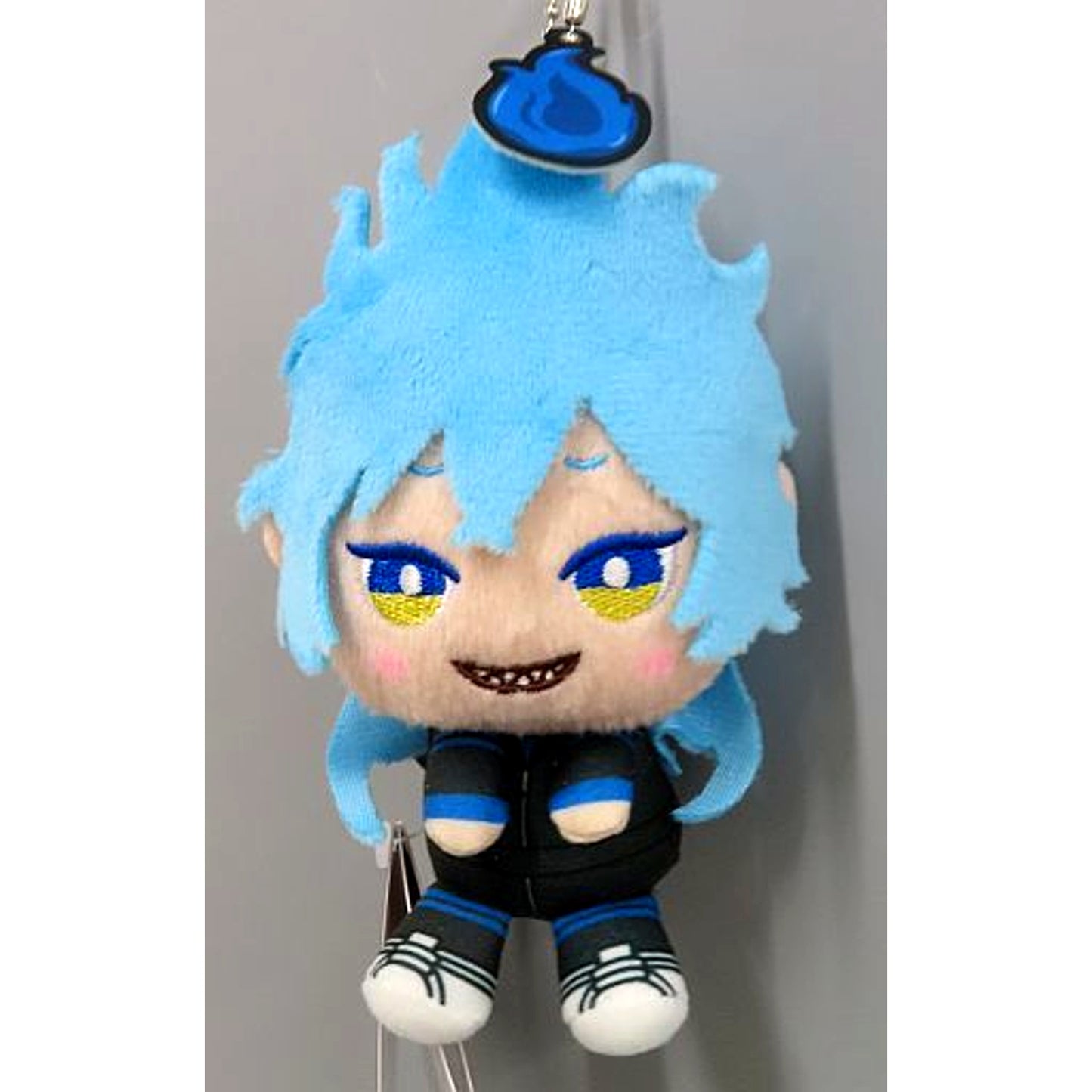 Idia Shroud Disney Twisted-Wonderland & you More Plus Gym Uniform Keychain Mascot Pomefiore Dorm & Ignihyde Dorm [USED]